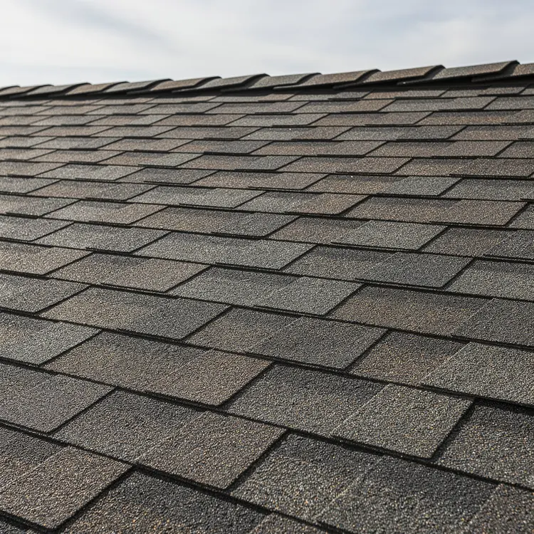 Freshly Installed Asphalt Shingle Roofing