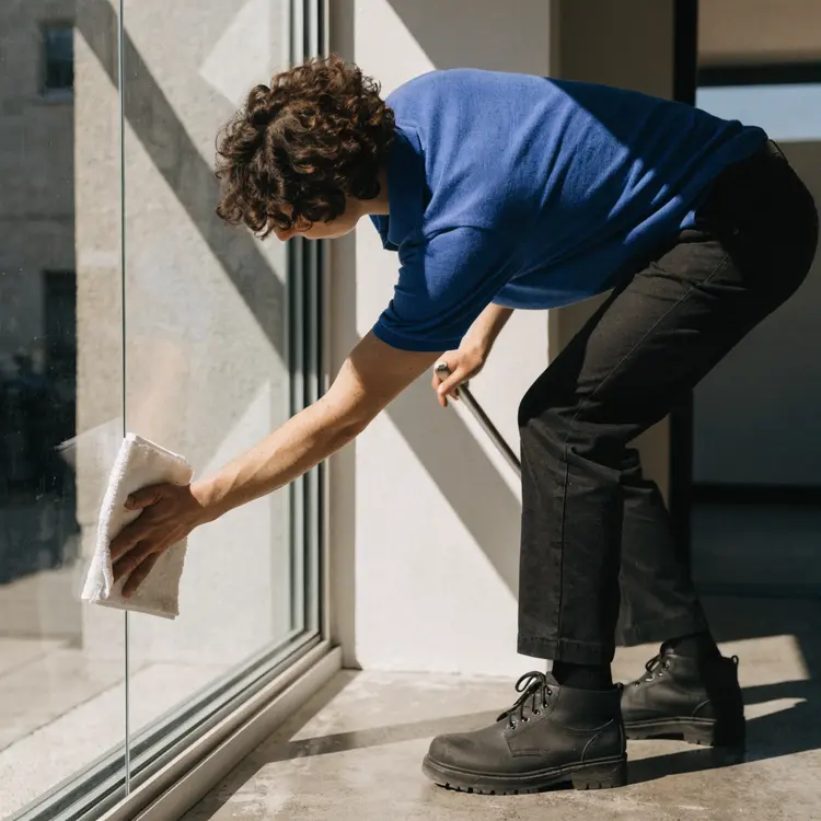 Window Washing Service
