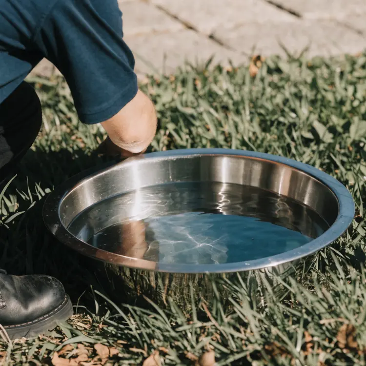 Stainless Steel Water Bowl on Grass
