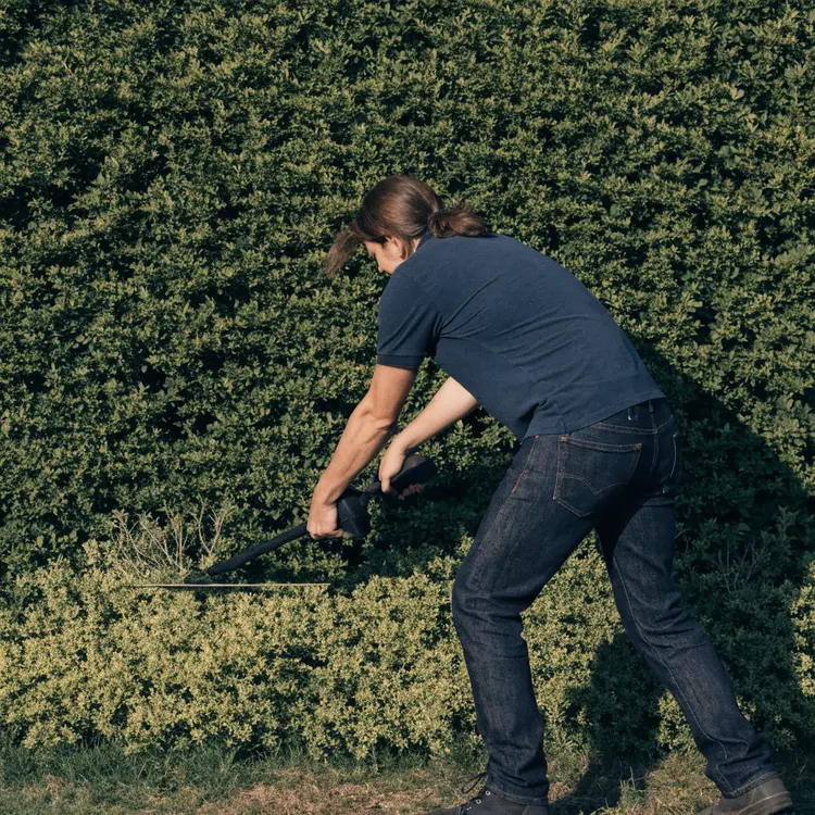 Hedge Trimming in Progress