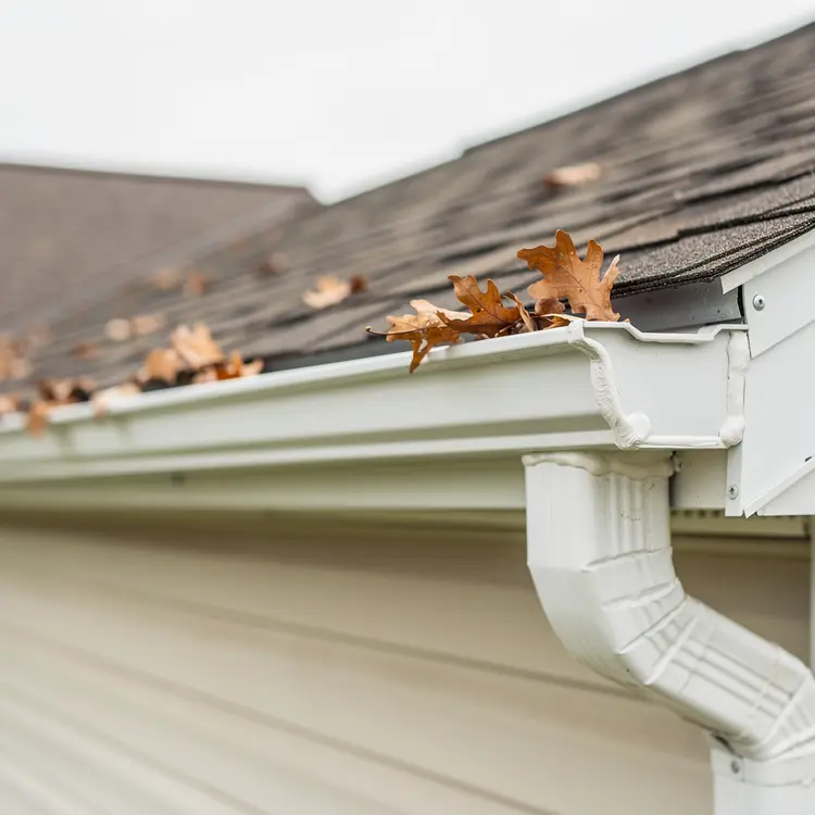 Leaf-Clogged Residential Gutter and Downspout