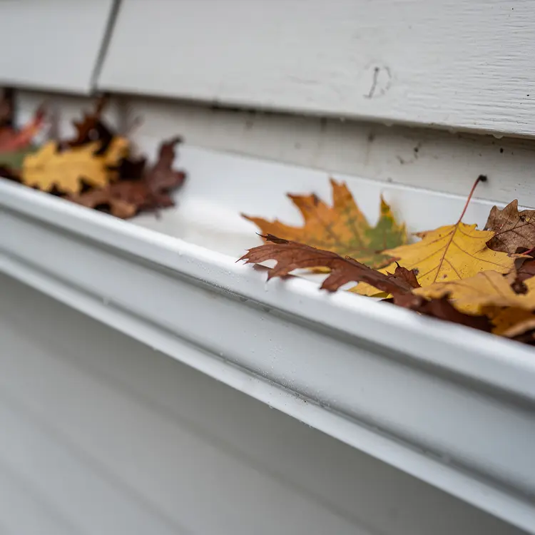 Autumn Aluminum Gutter Repair with Mesh Patch and Sealant