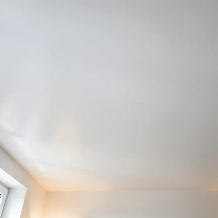 Freshly Painted White Interior Ceiling