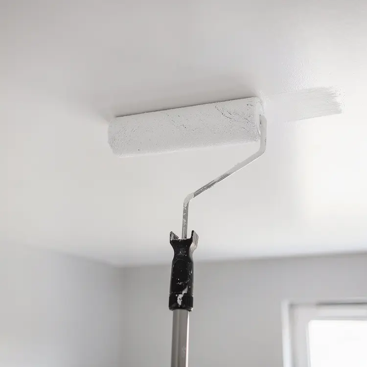 Ceiling Painting with Roller