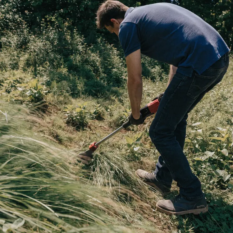 Man Using String Trimmer to Clear Overgrown Grass