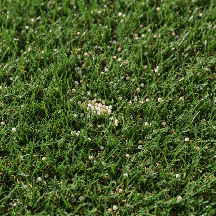 Lawn Fertilizer Application on Green Turf