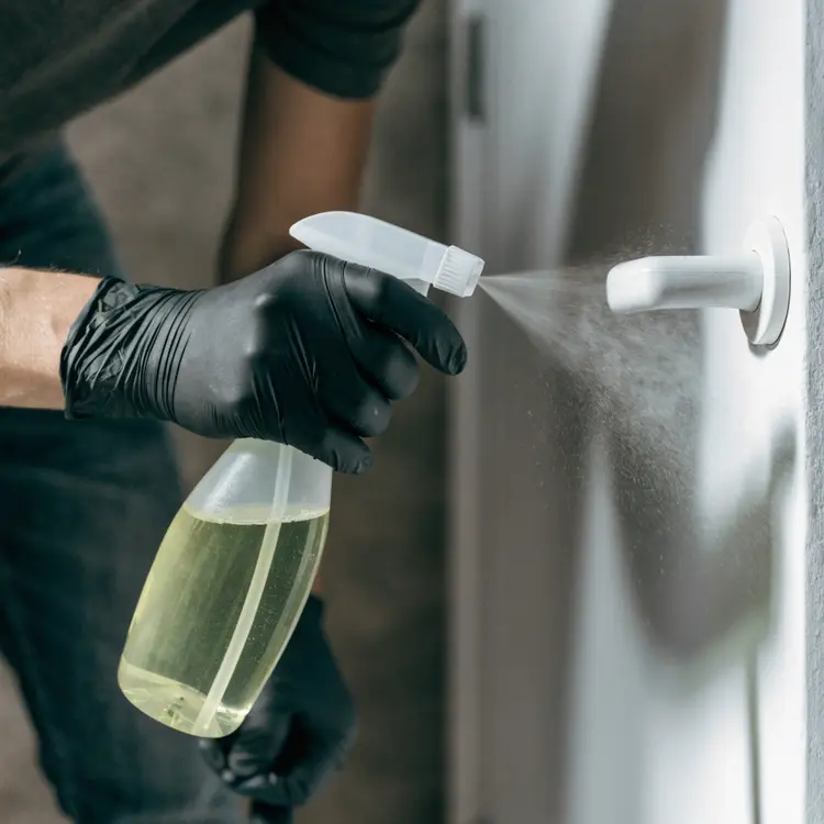 Disinfecting a Door Handle with Spray Cleaner