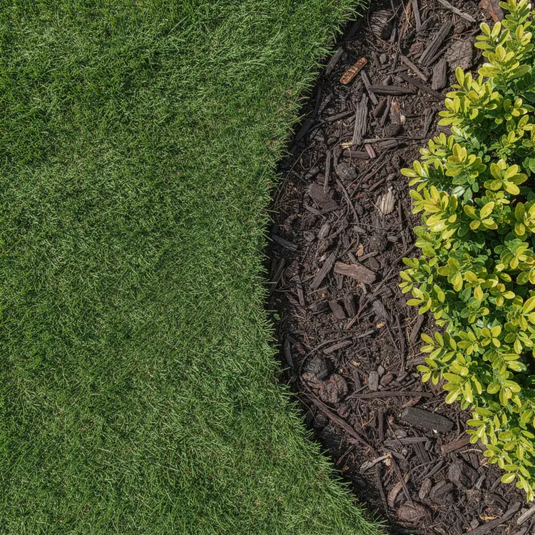 Lawn and Mulched Garden Bed Edge