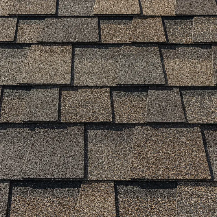 Architectural Asphalt Shingle Roofing Close-Up