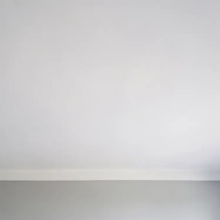 Freshly Painted White Ceiling