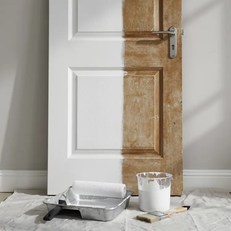 Interior Door Being Painted White