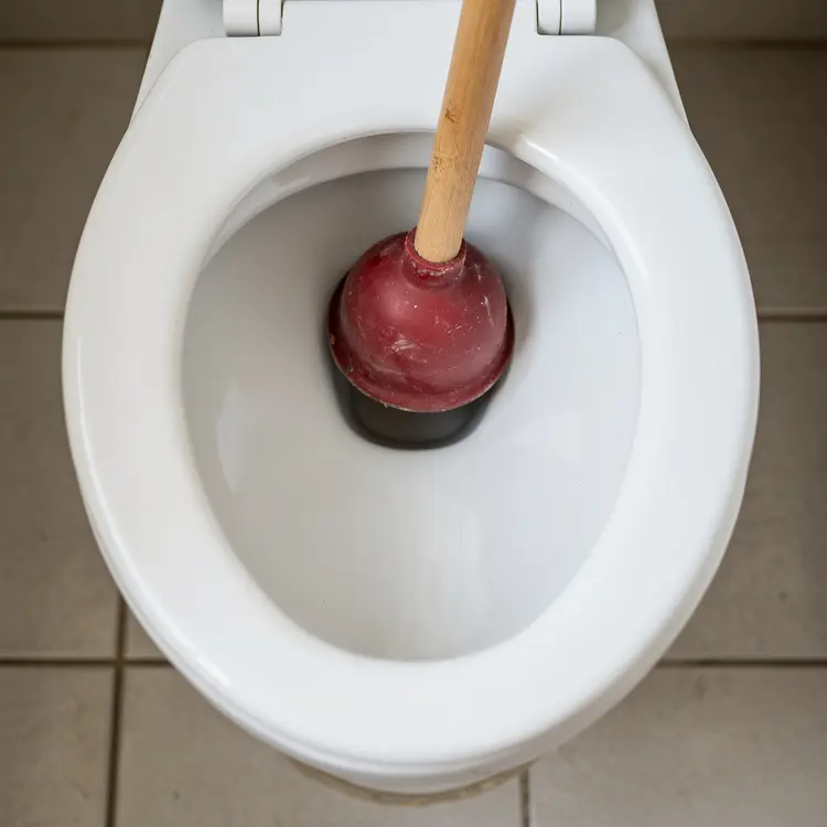 Toilet Plunger in Use
