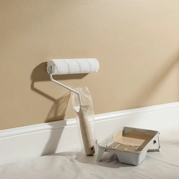 Interior Wall Painting with Roller and Tray