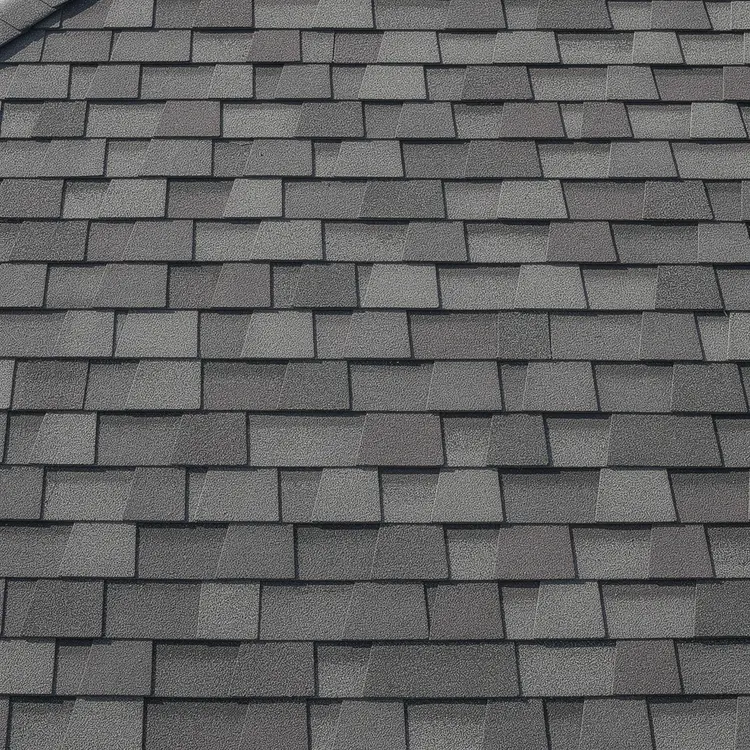 Architectural Asphalt Shingles Close-Up