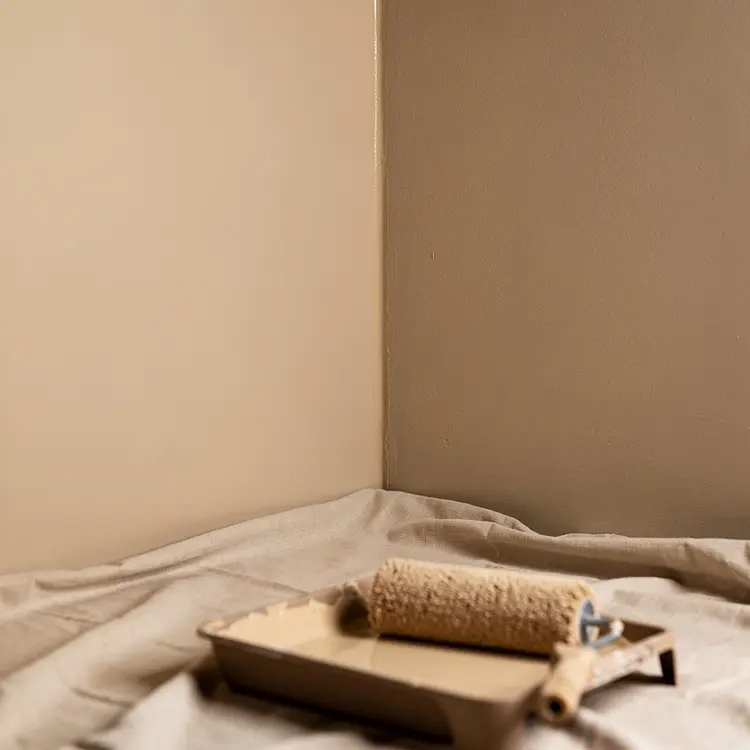 Interior Wall Painting – Freshly Painted Corner