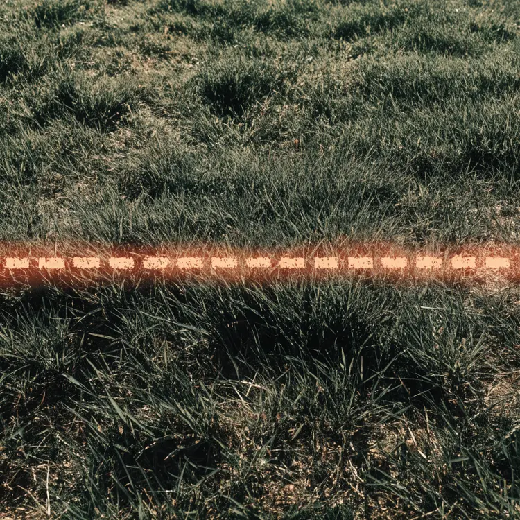 Grass Field with Horizontal Boundary Marker
