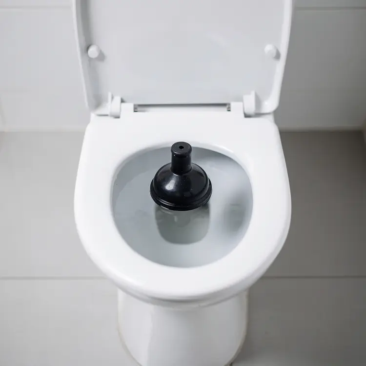 Toilet with Plunger – Clogged Drain
