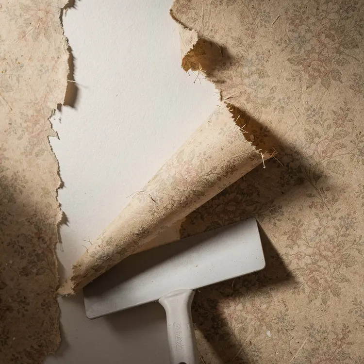 Wallpaper Removal in Progress