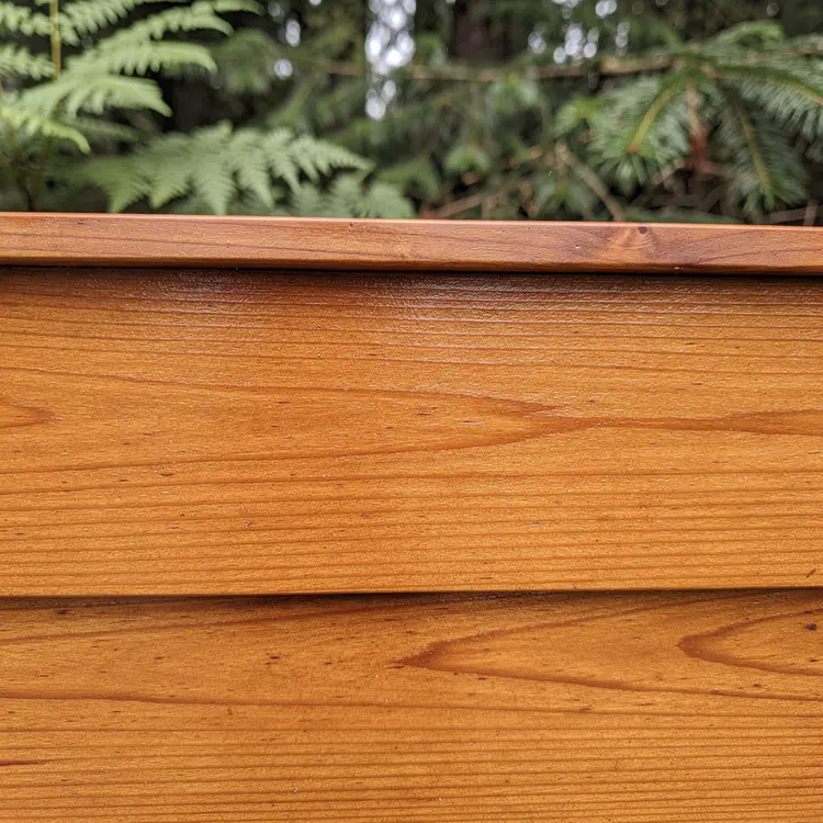 Freshly Stained Cedar Privacy Fence