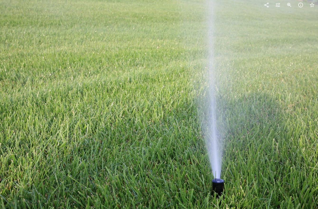 In-Ground Sprinkler System in Action