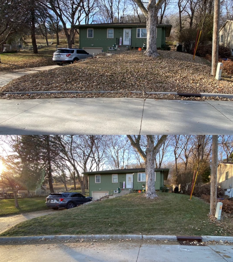 Before & After Leaf Removal – Front Yard Cleanup