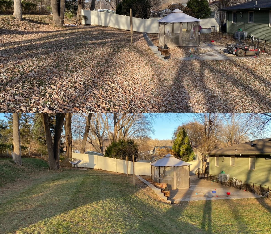 Before & After Backyard Leaf Removal and Yard Cleanup