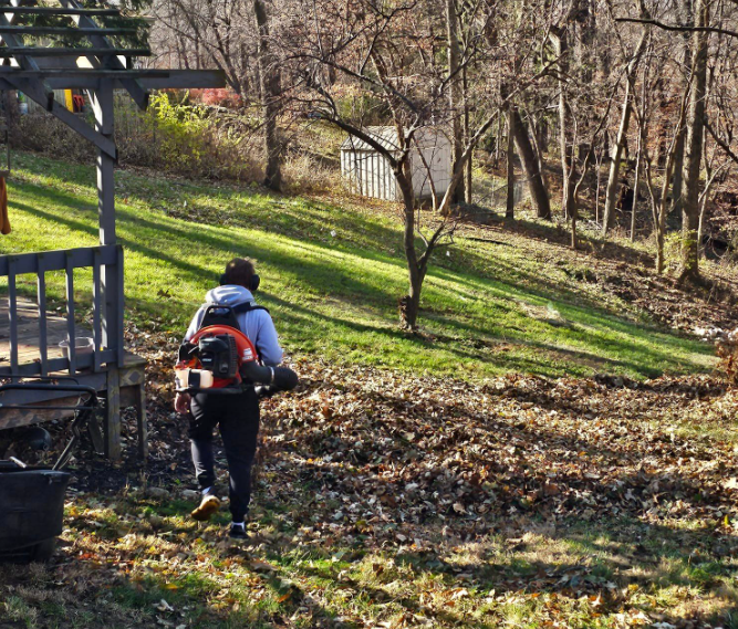 Fall Leaf Removal with Professional Backpack Blower