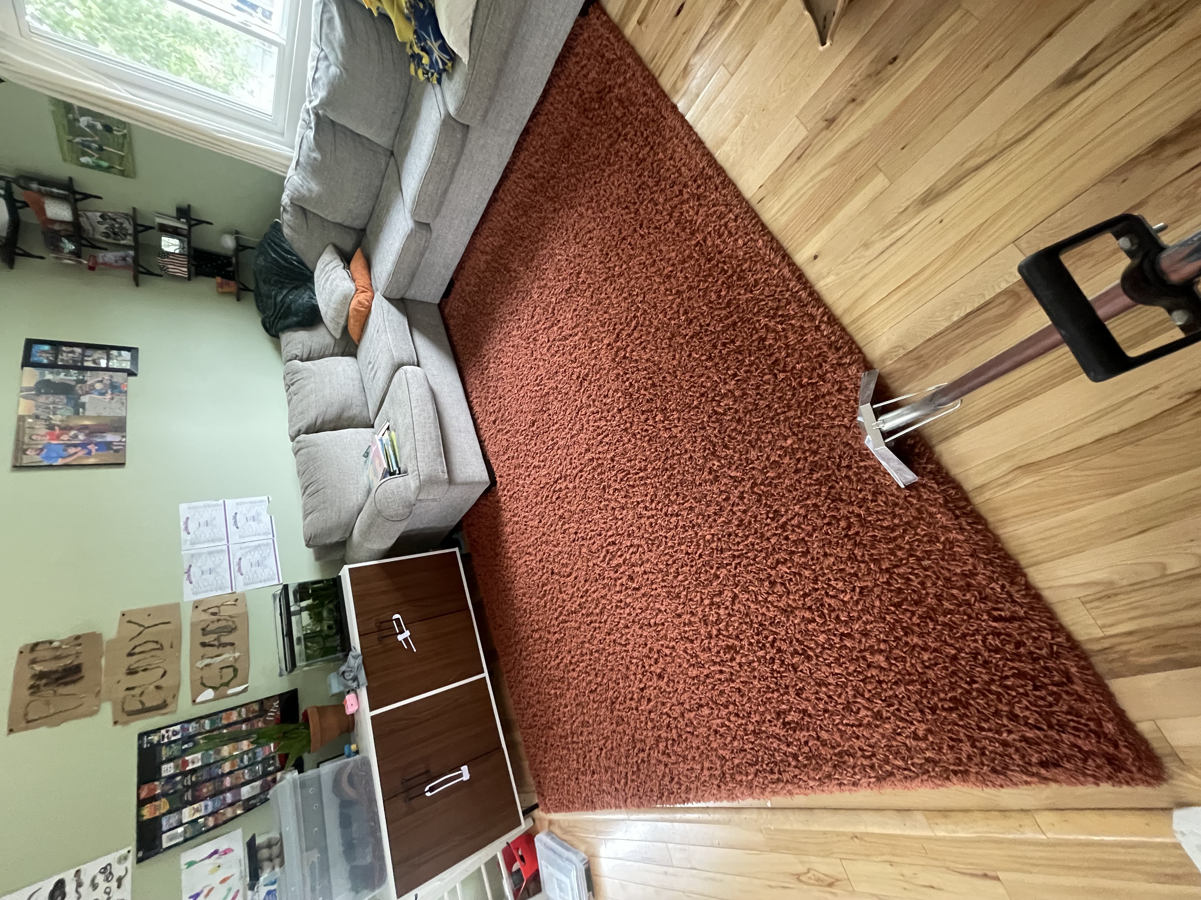 Residential Area Rug Deep Cleaning – Living Room