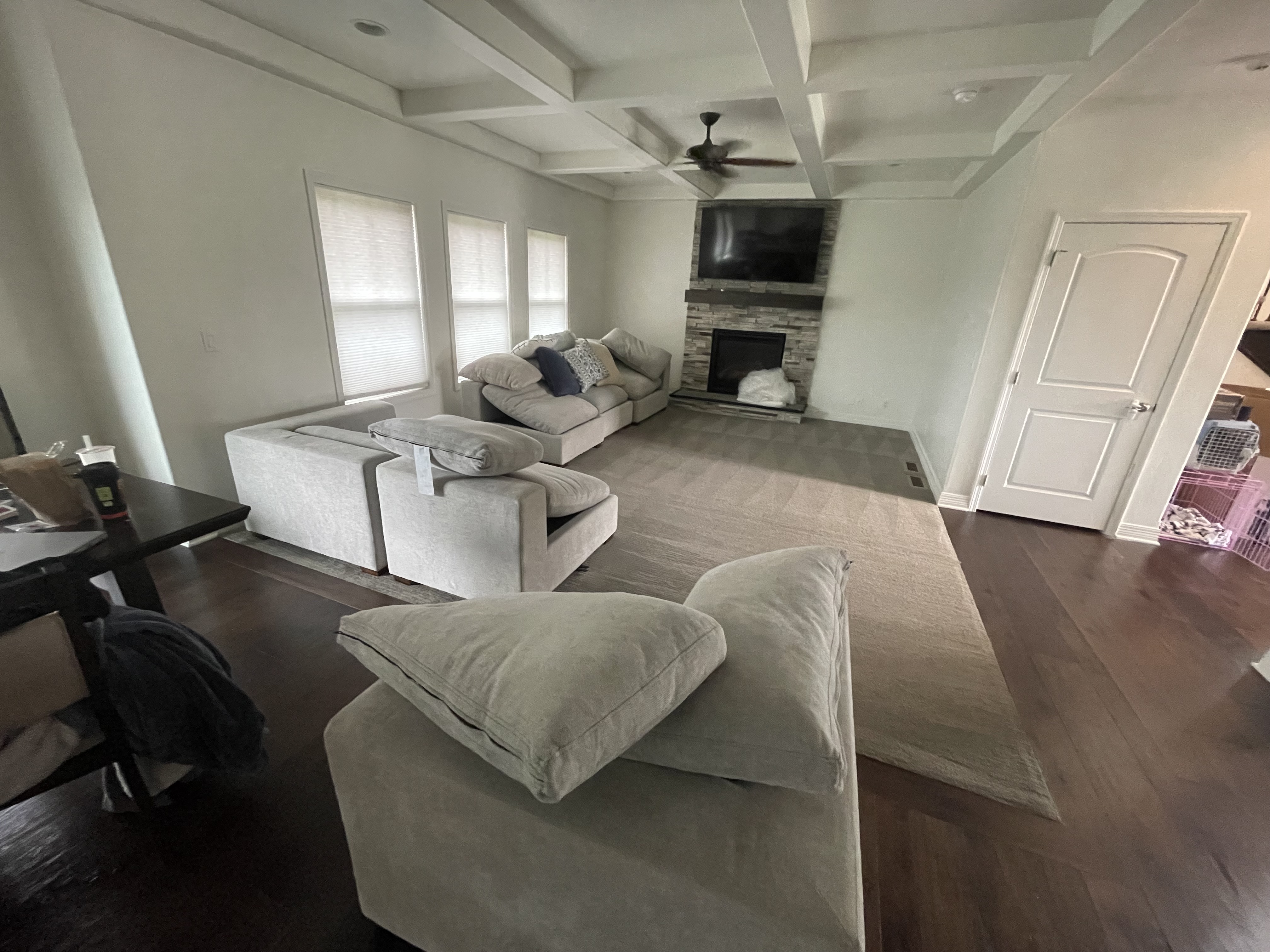 Living Room Carpet & Upholstery Cleaning Results