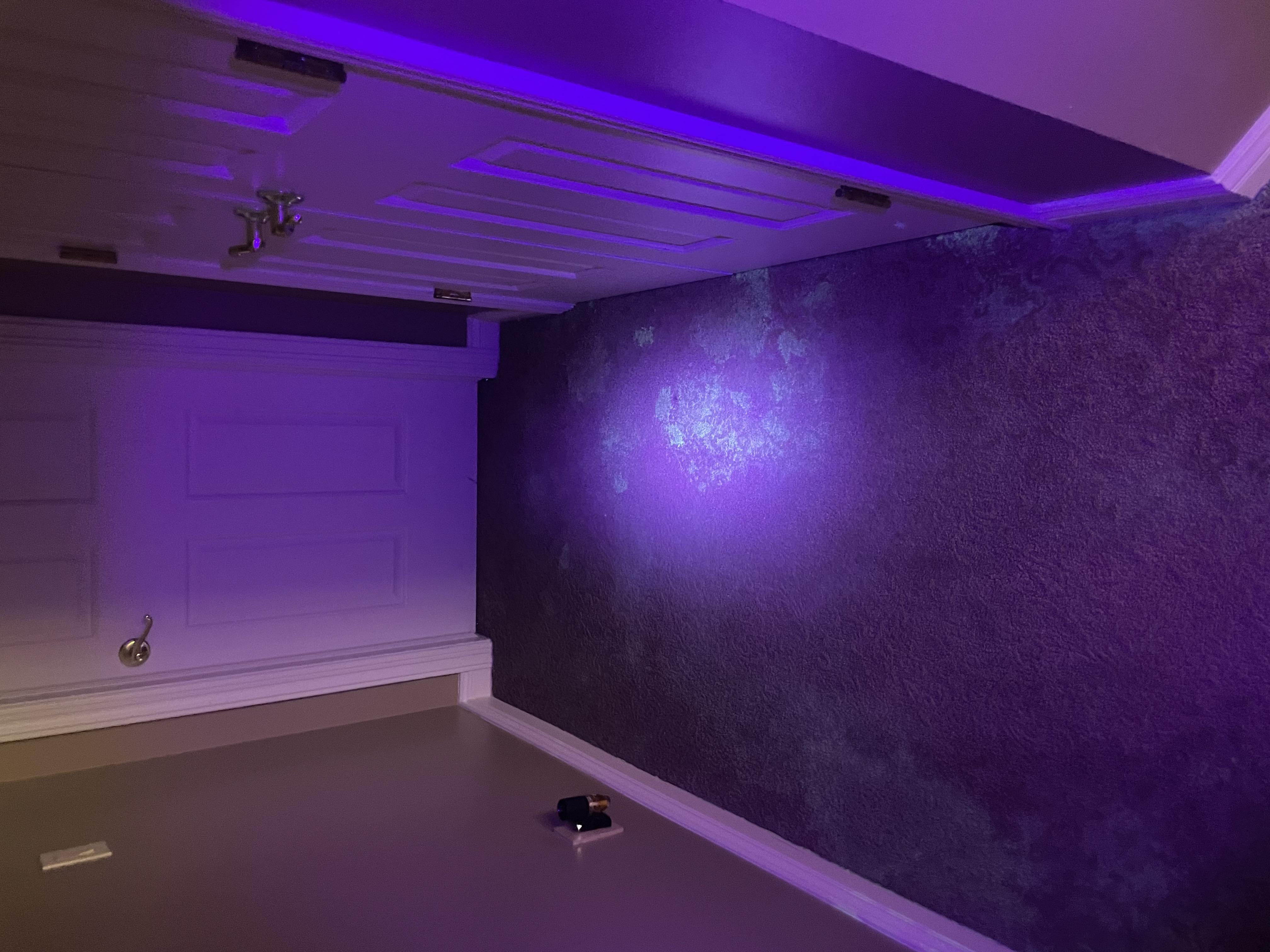 UV Black Light Carpet Stain Detection & Deep Cleaning
