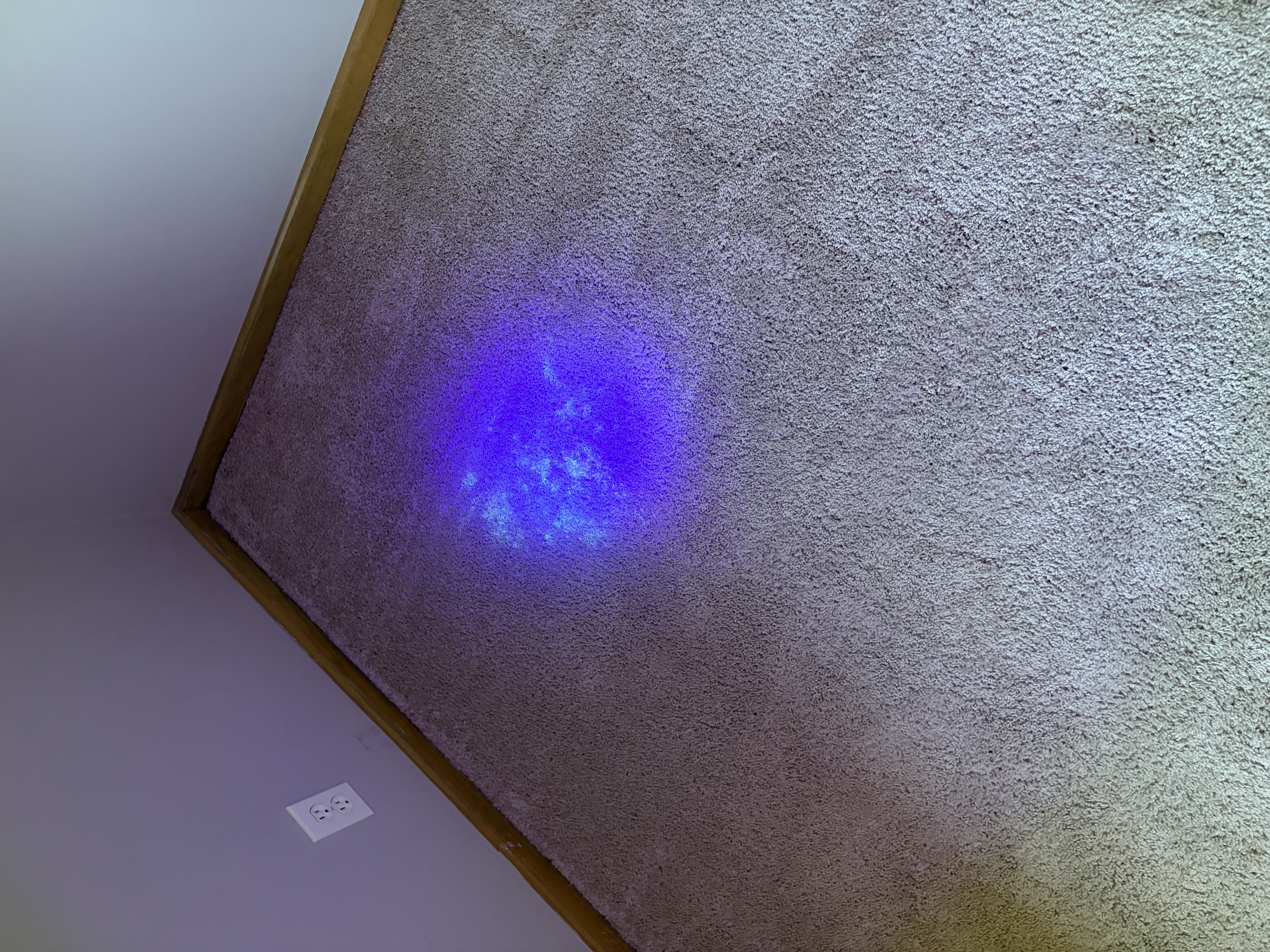 UV Black Light Stain Detection on Residential Carpet