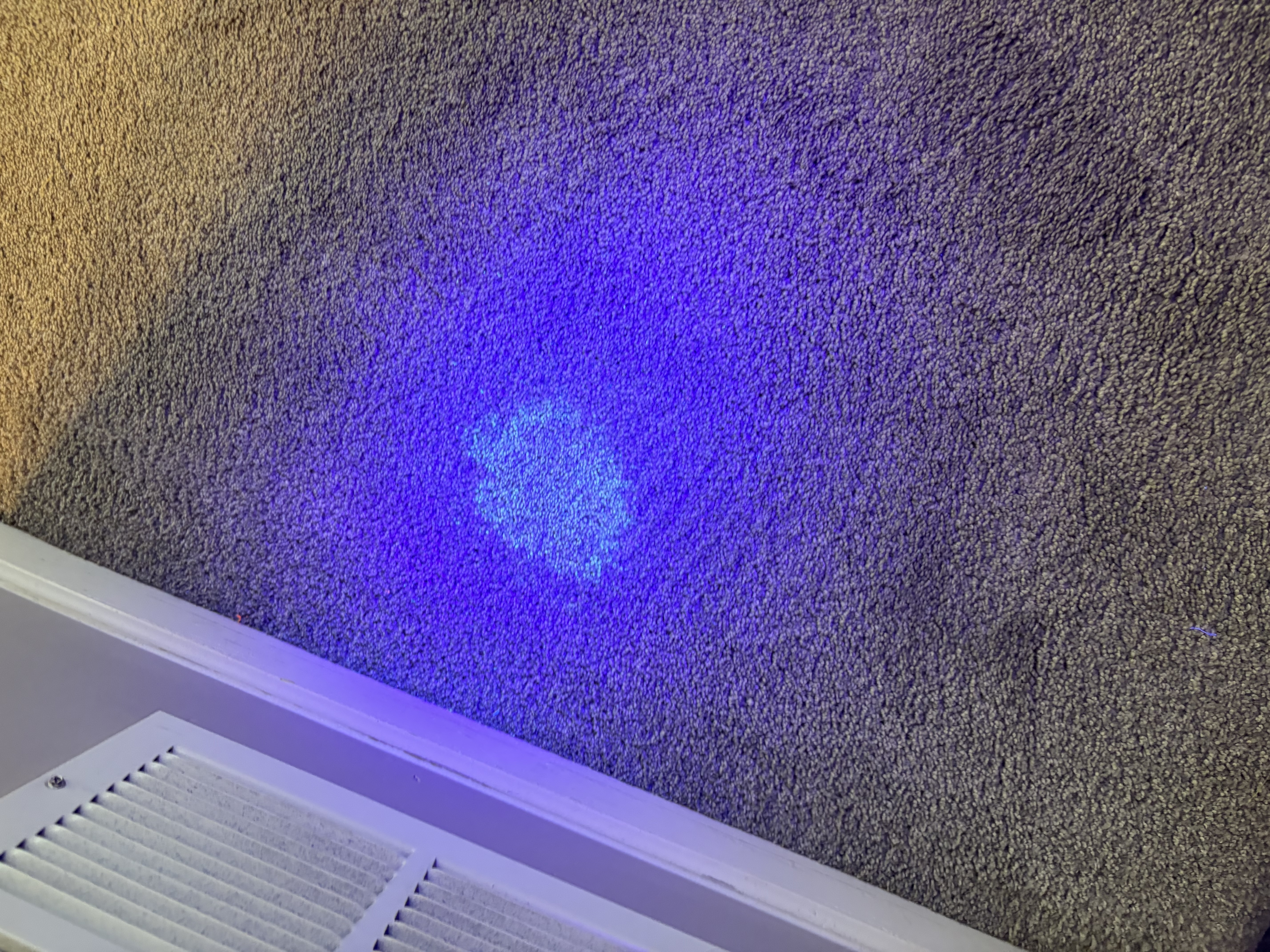UV Blacklight Stain Detection on Residential Carpet