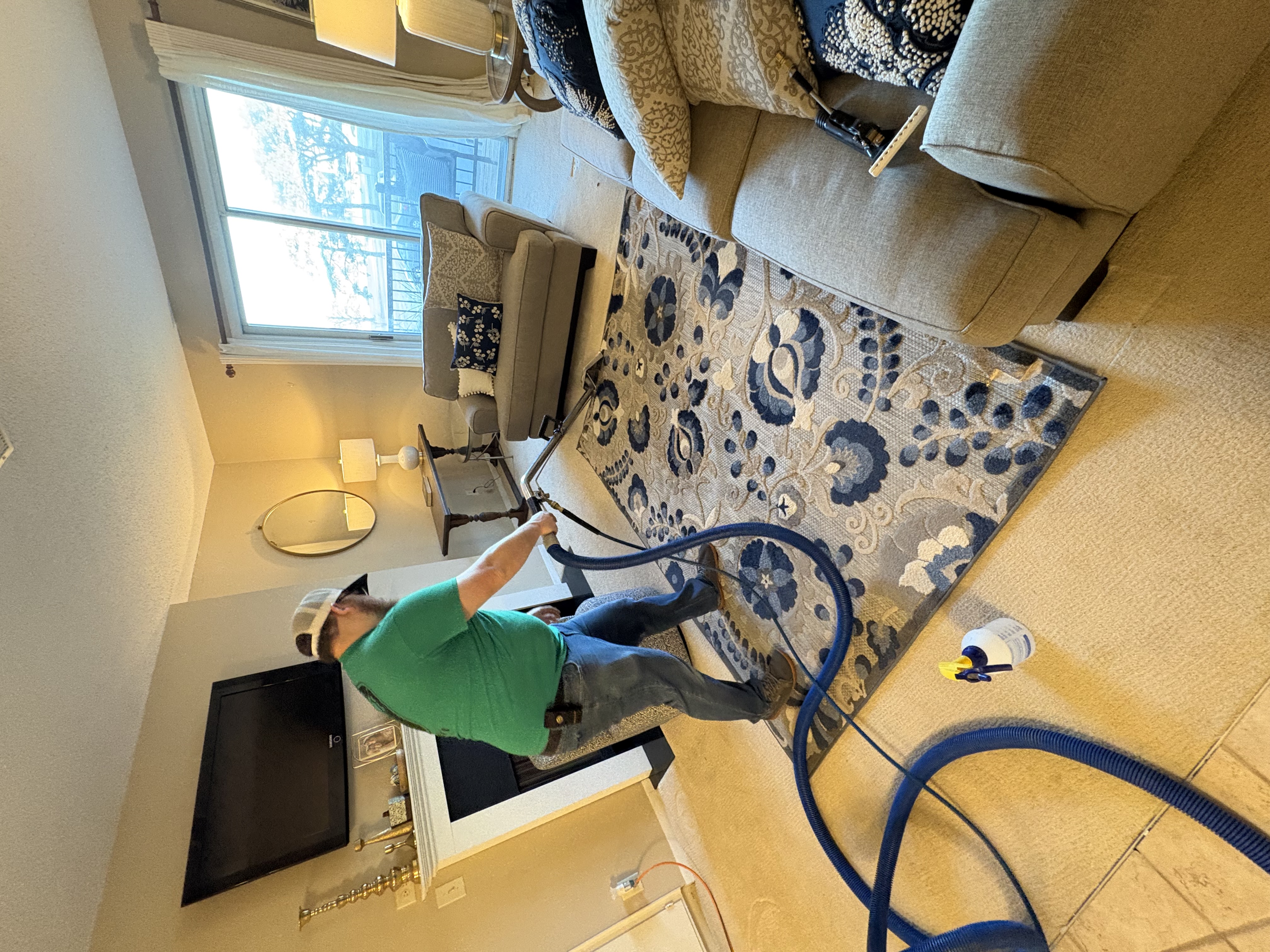 Professional Area Rug & Carpet Steam Cleaning in Living Room