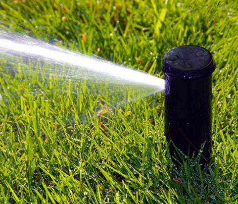 Pop-Up Sprinkler Head in Action