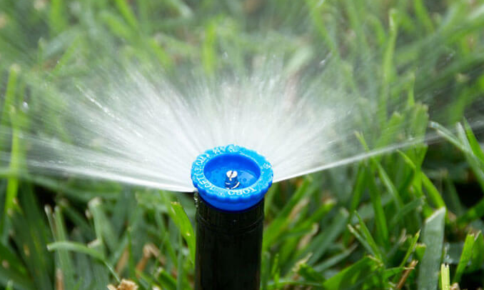 In-Ground Sprinkler Head in Action