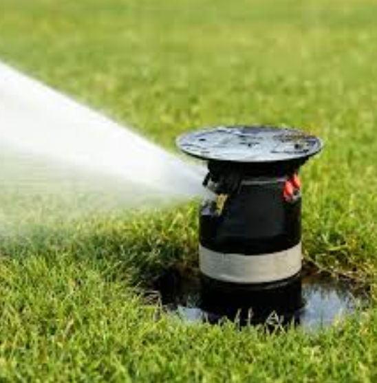 Pop-Up Sprinkler Head in Action