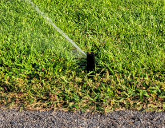 In-Ground Sprinkler Head Watering a Green Lawn