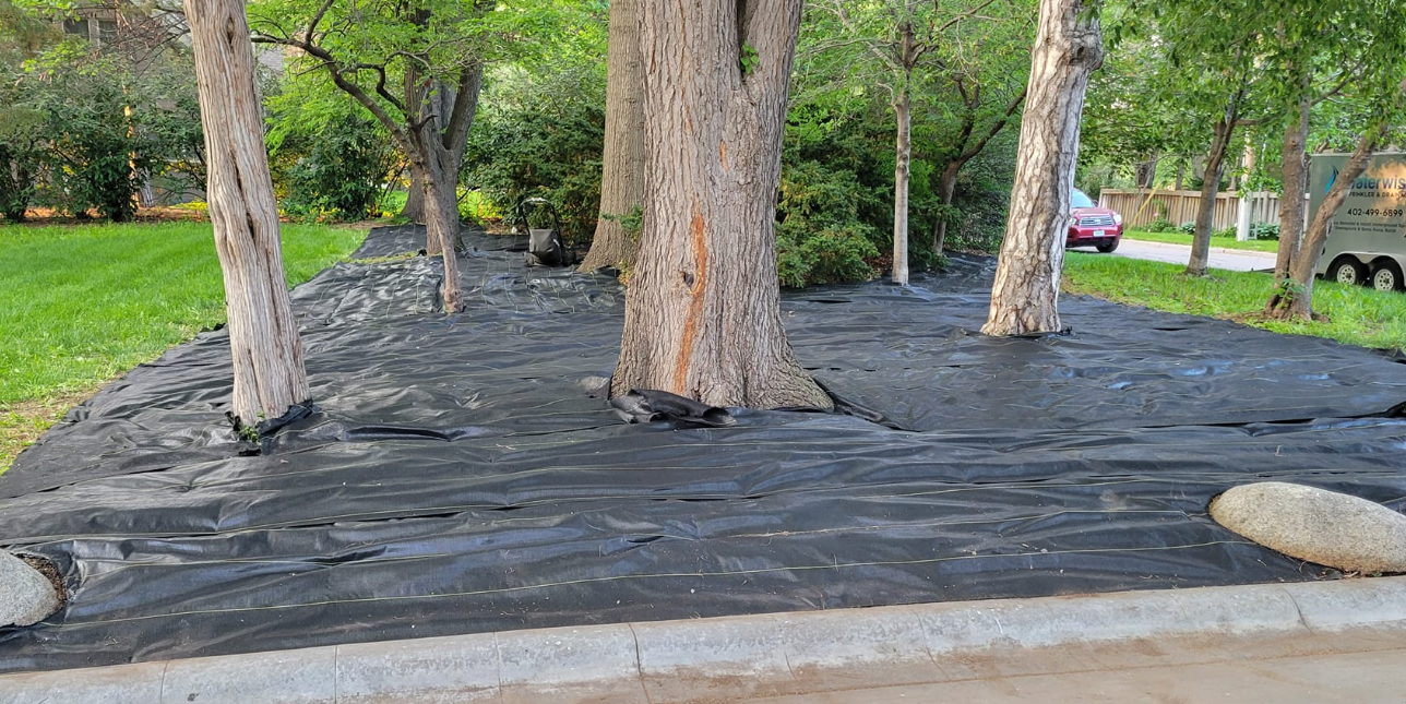 Landscape Weed Barrier & Ground Prep Installation
