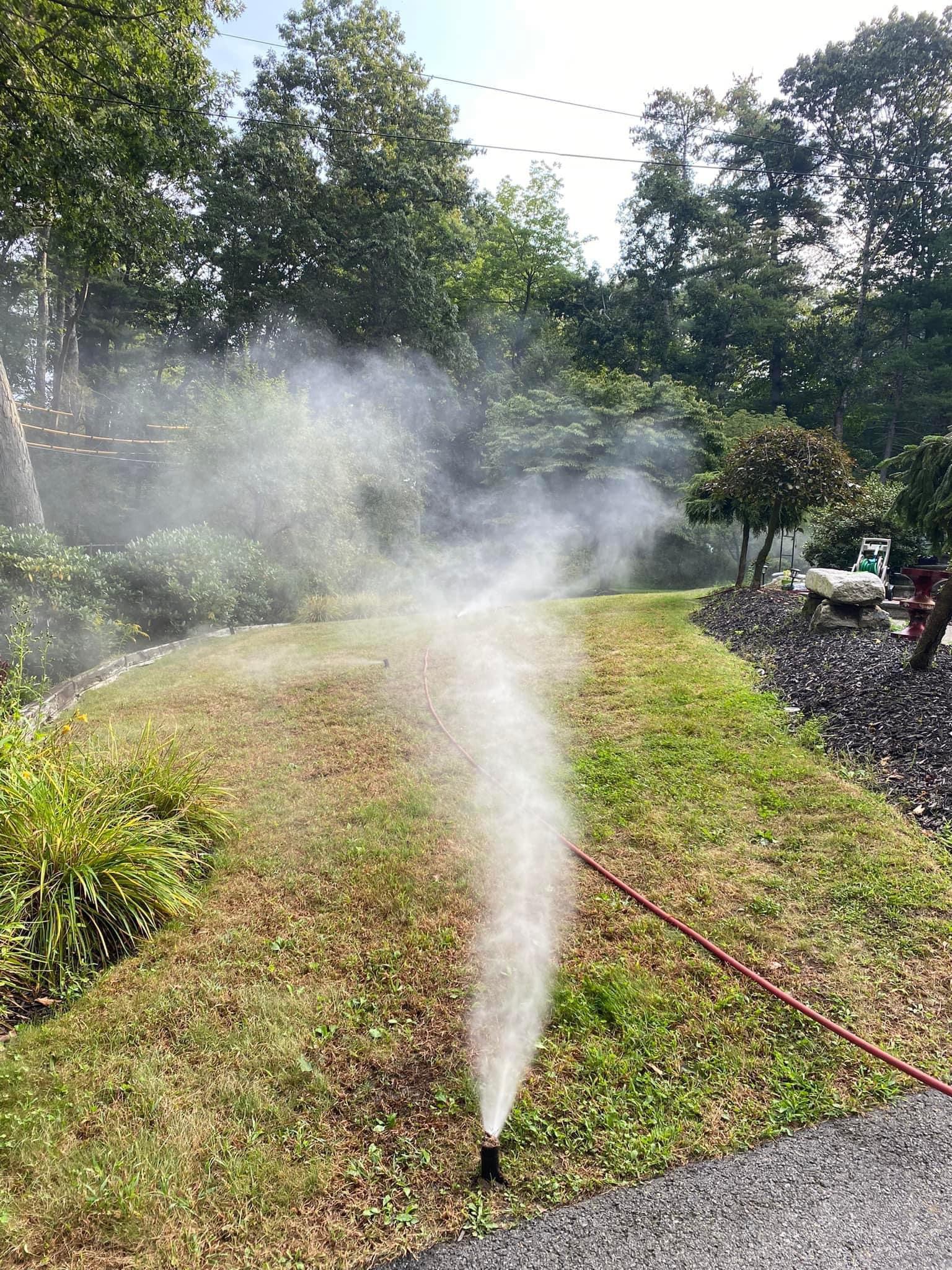 Residential Sprinkler Head in Action