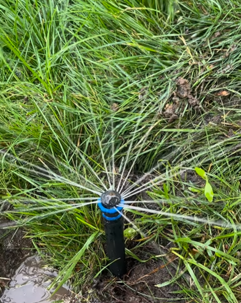 Active Sprinkler Head in Operation
