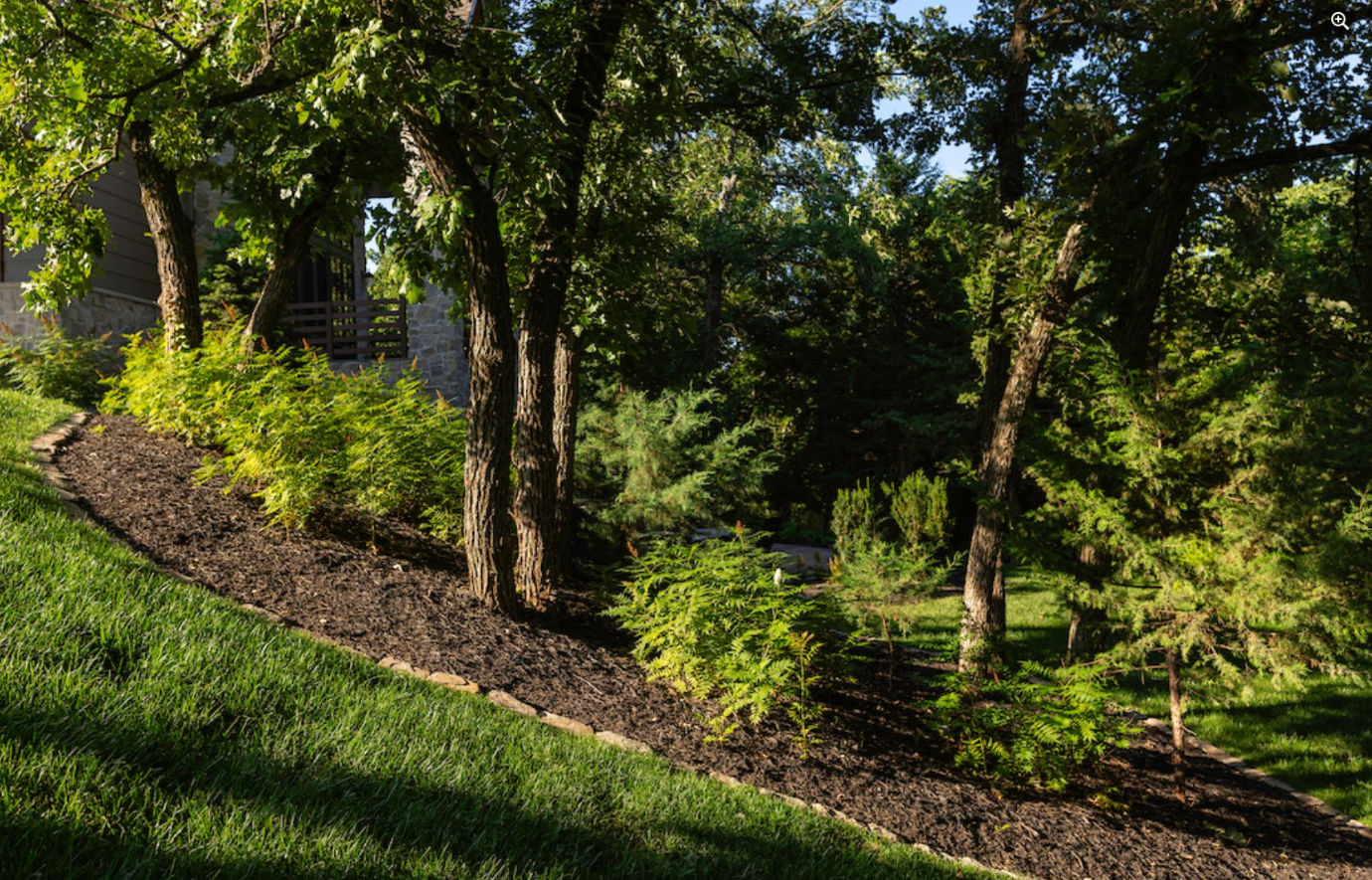 Woodland-Style Sloped Landscape with Mulched Beds & Ferns