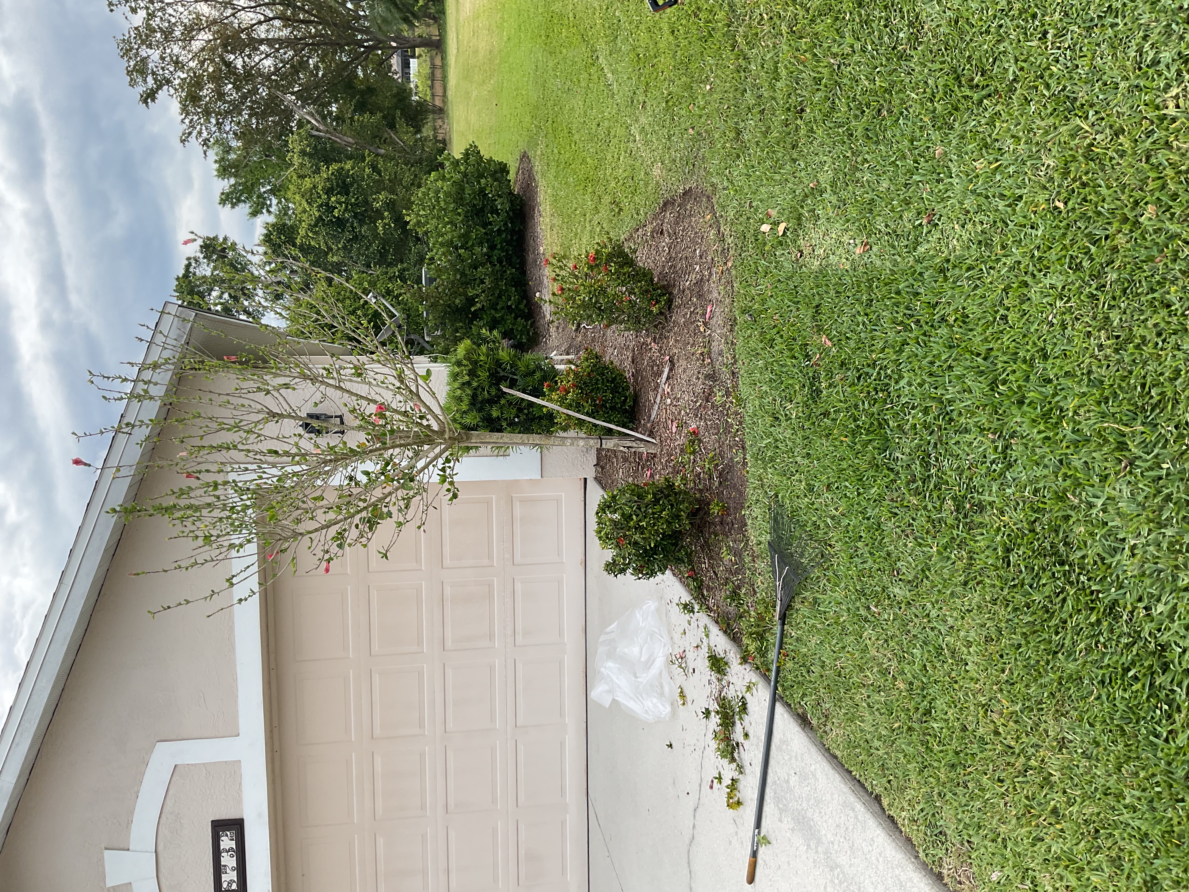 Front Yard Shrub Trimming & Landscape Maintenance