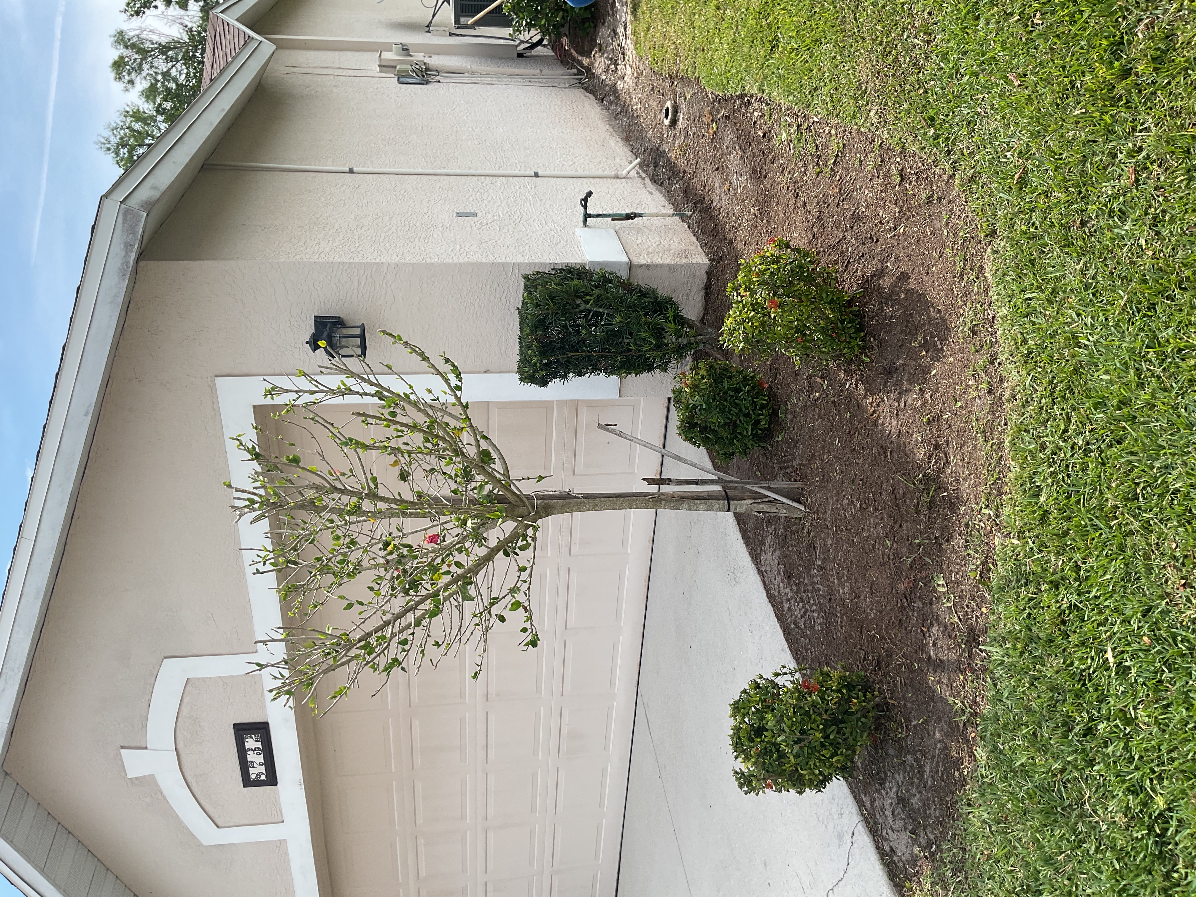 Front Yard Tree & Shrub Planting Installation