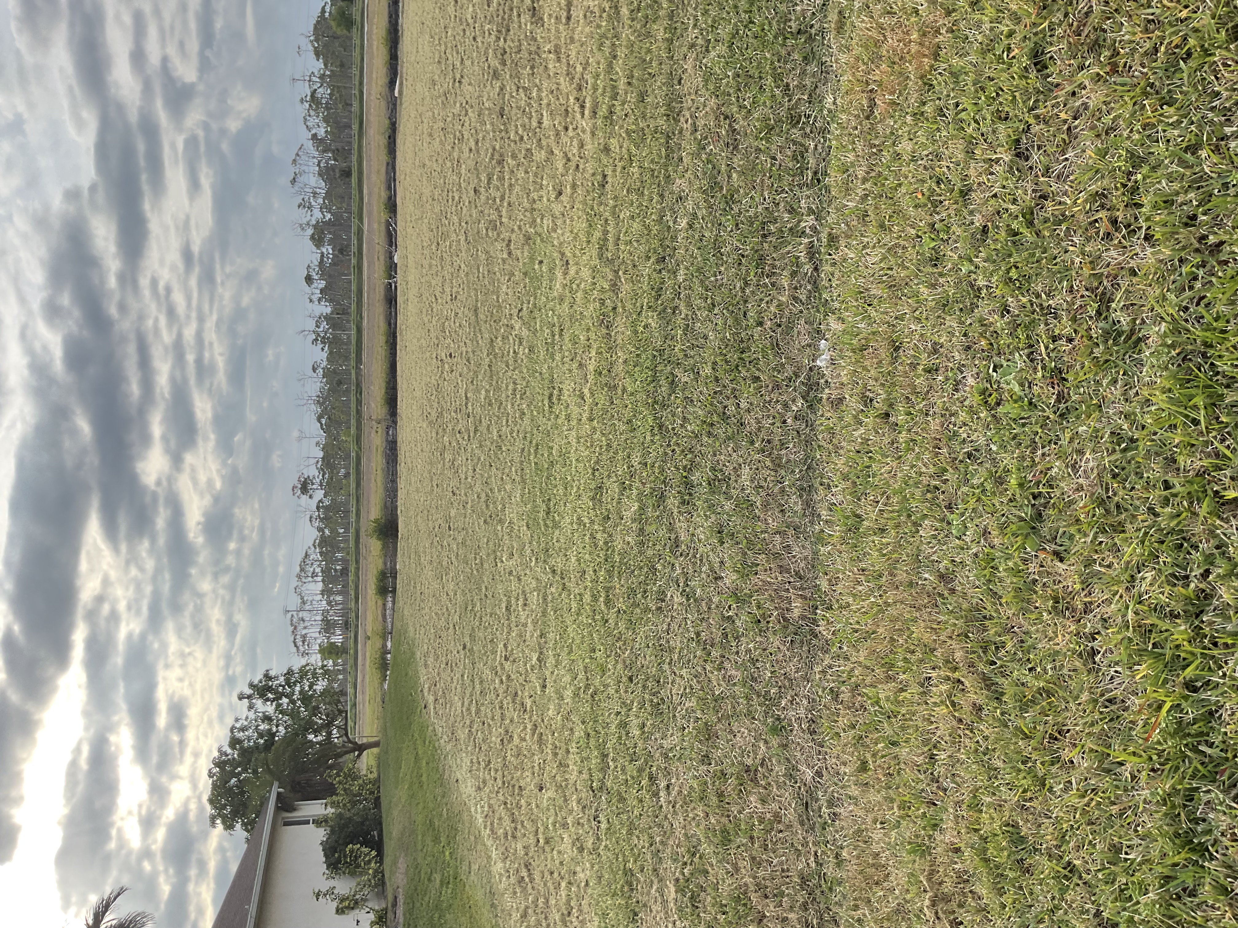 Freshly Mowed Residential Backyard – Cape Coral, FL
