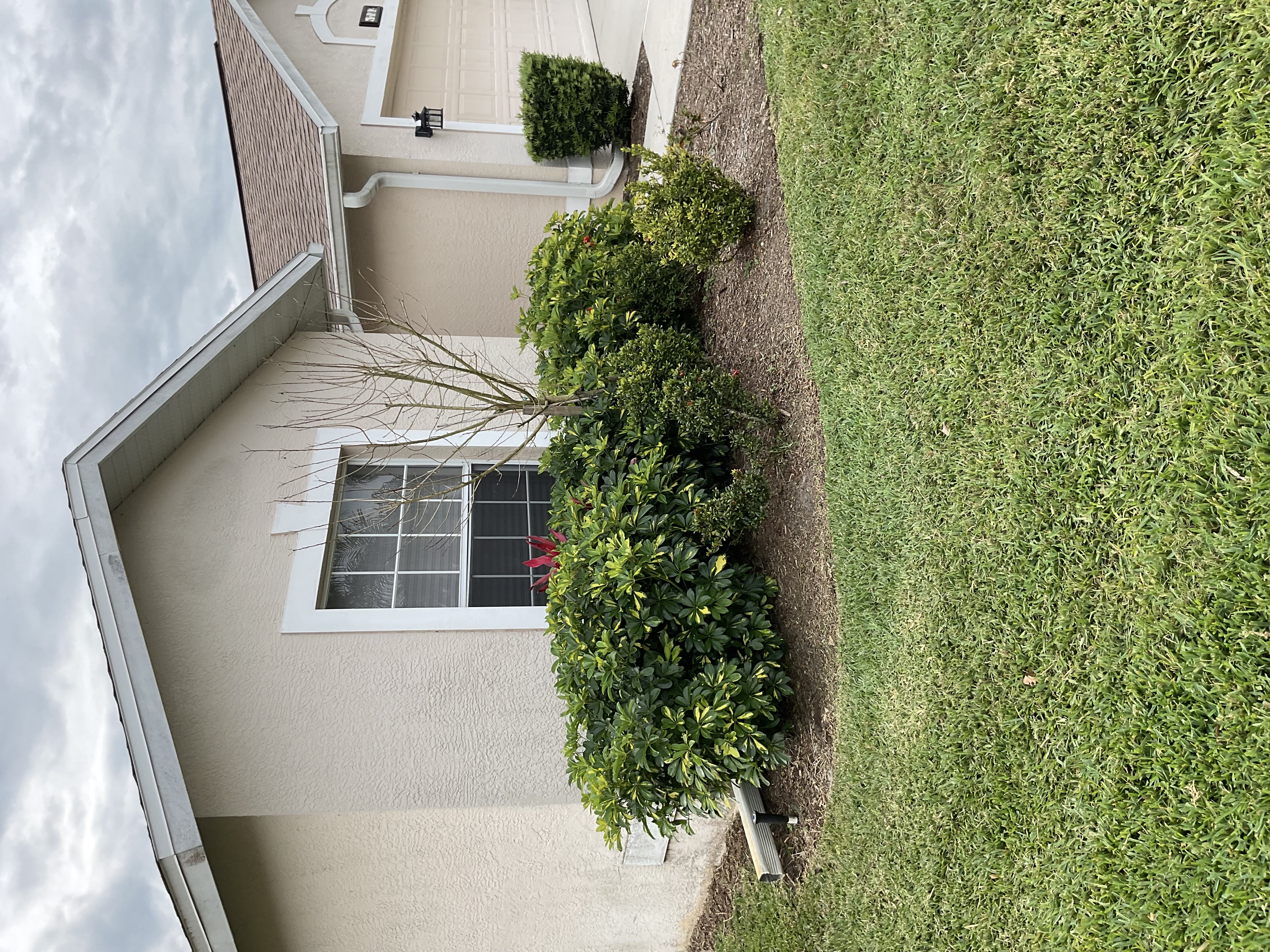 Front Yard Shrub Trimming & Lawn Maintenance