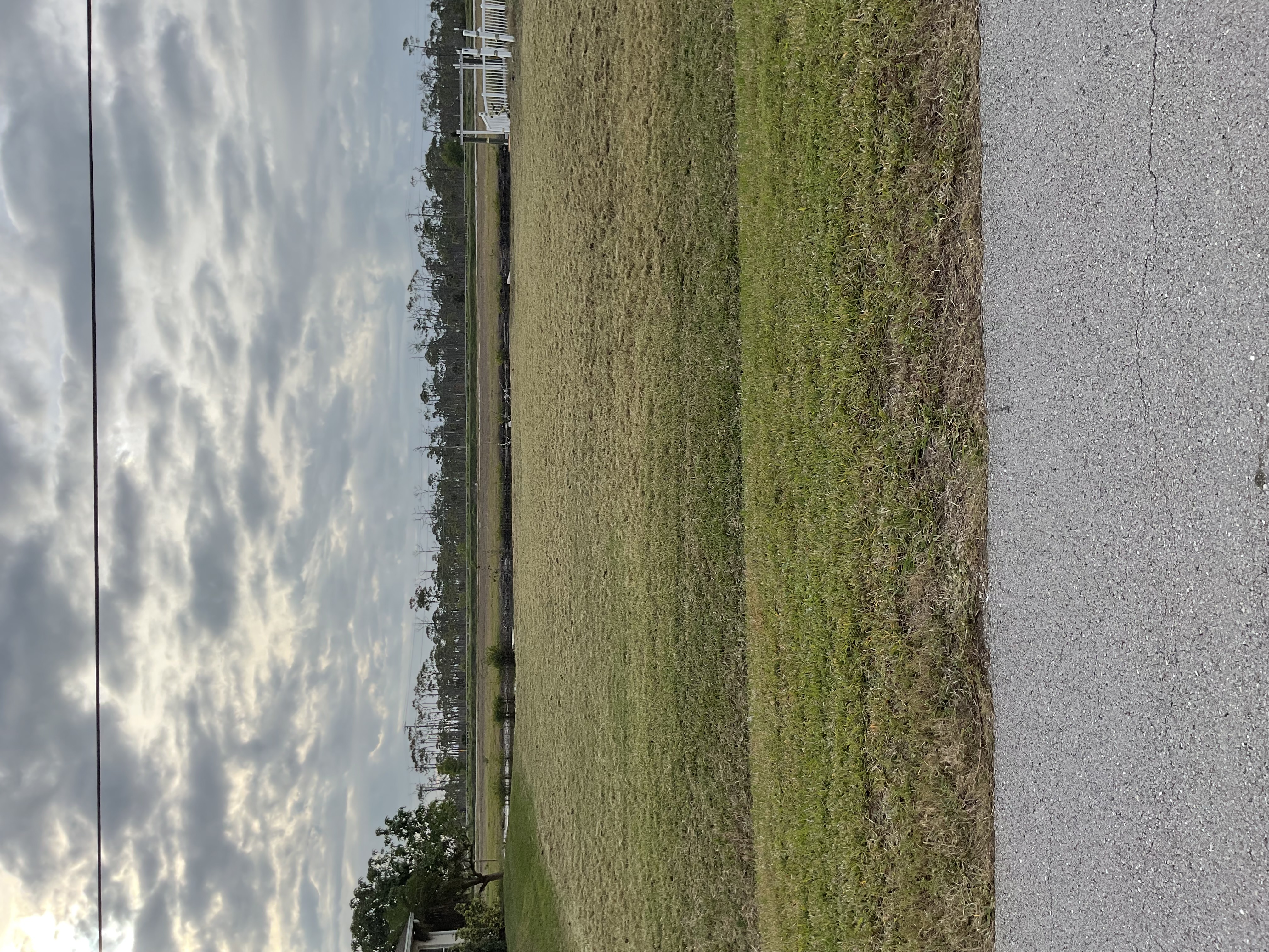 Freshly Mowed Residential Lawn – Cape Coral, FL