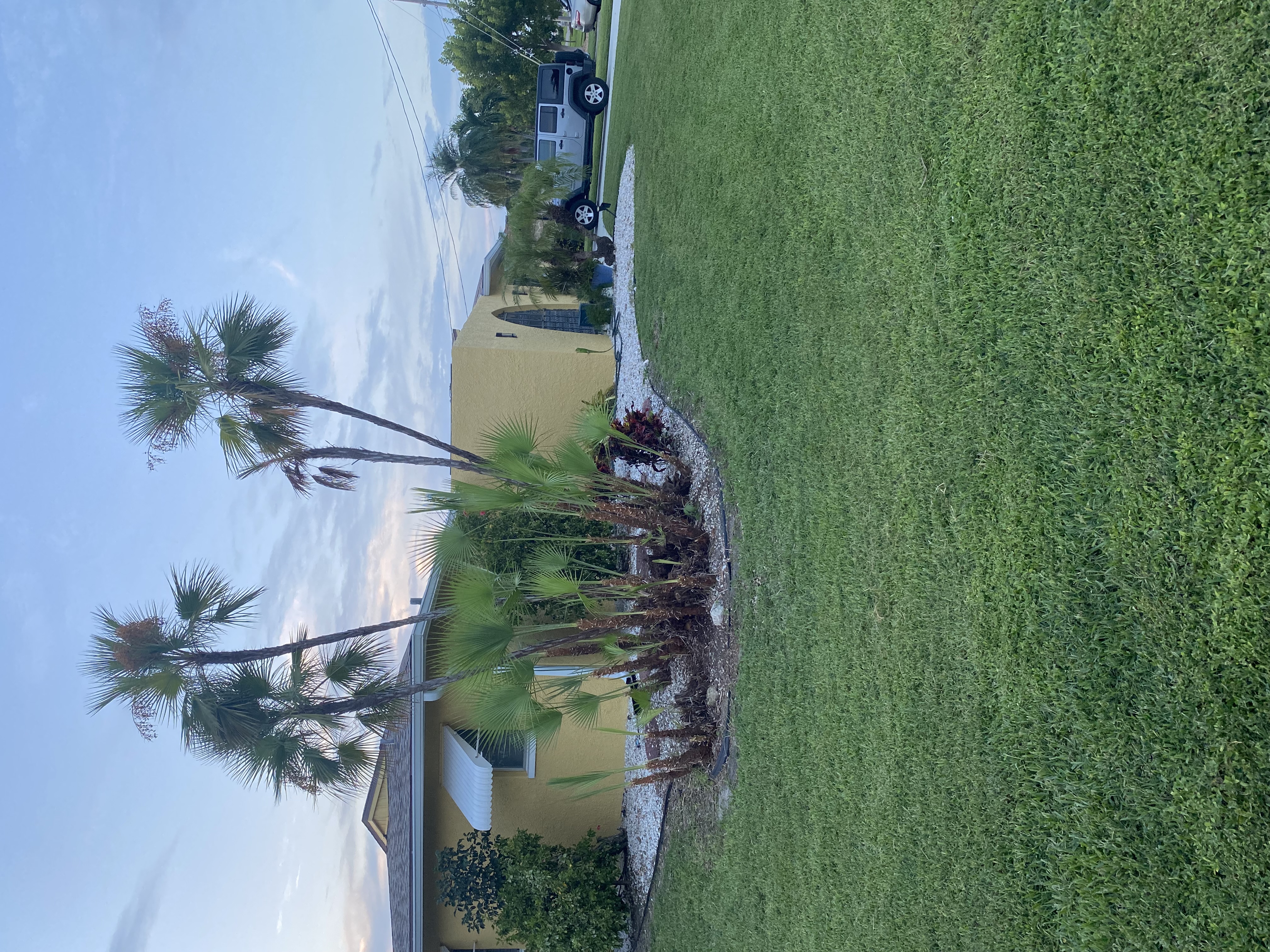 Lush Front Yard Lawn Care & Tropical Landscaping – Cape Coral, FL