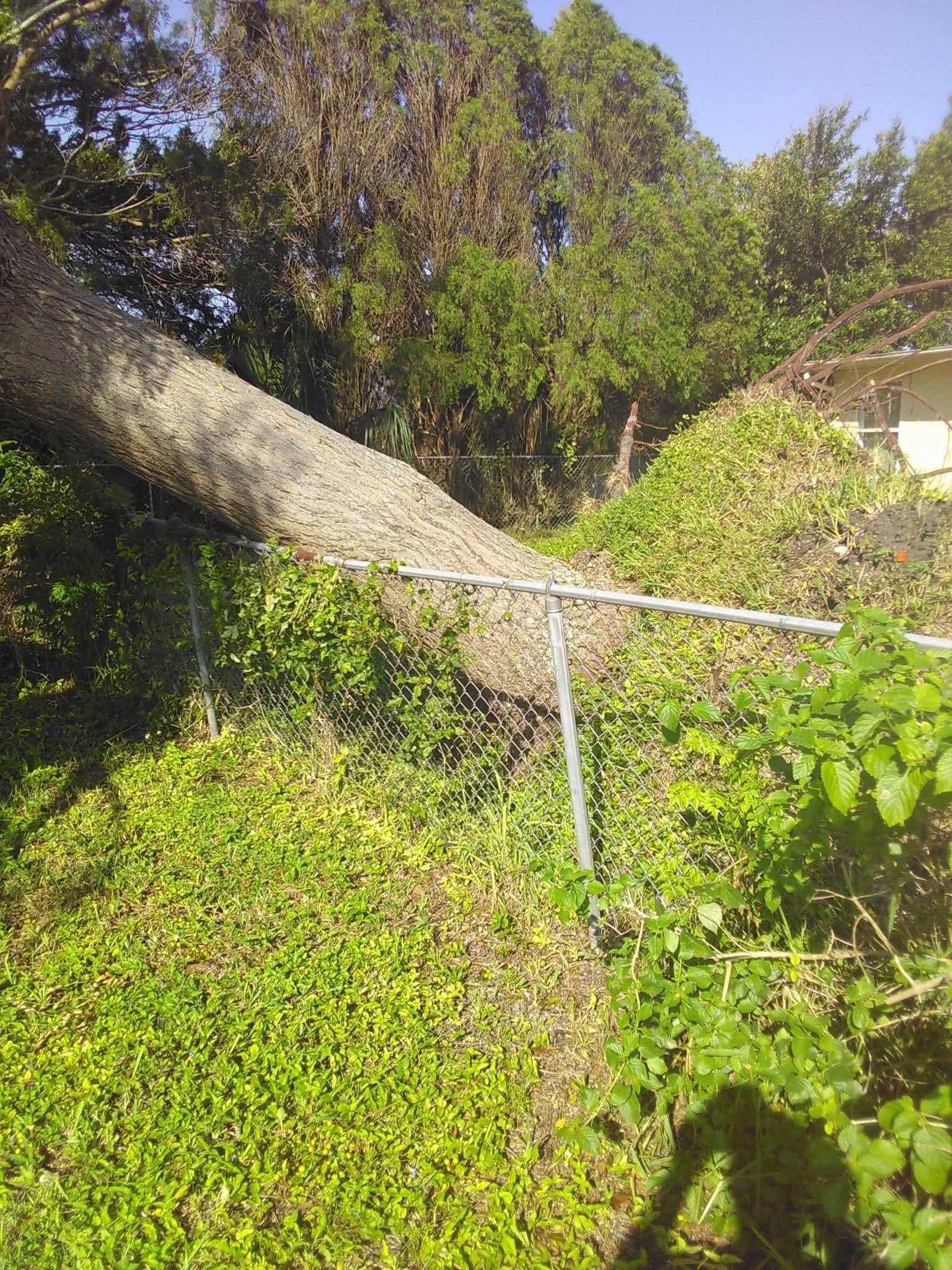 Storm Damage Tree Fall – Fence Crushed by Fallen Tree