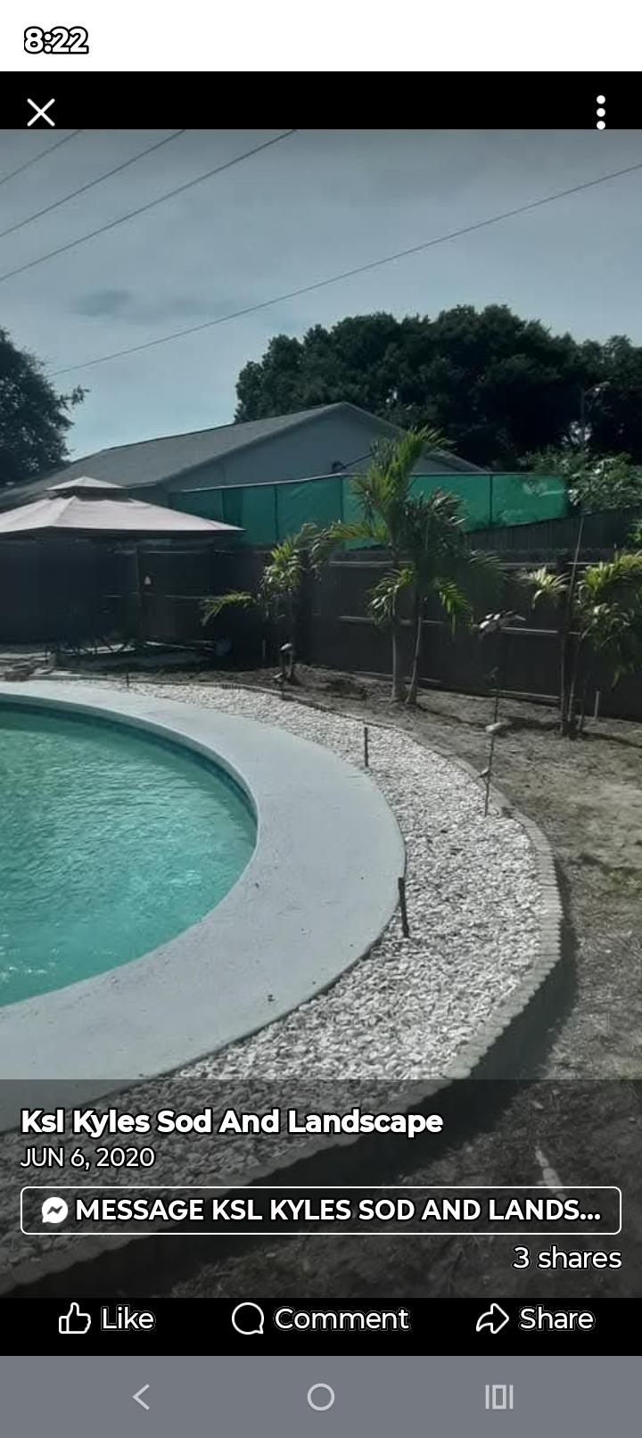 Pool Area Landscaping with Palm Trees & Gravel Border