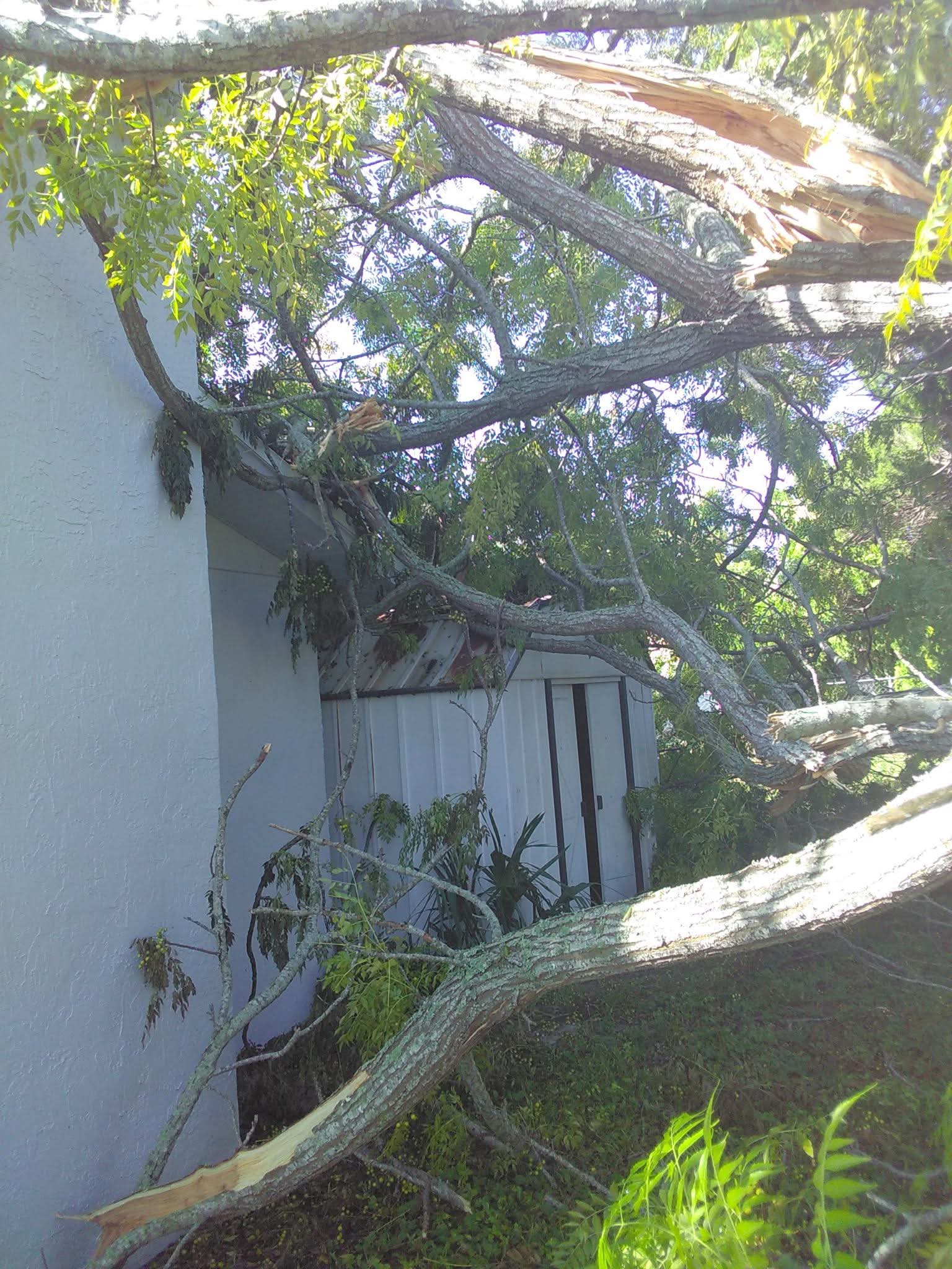 Storm Tree Fall – Land Clearing & Debris Removal